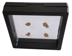 Schweberahmen 9 cm x 9 cm für die Präsentation von Goldnuggets