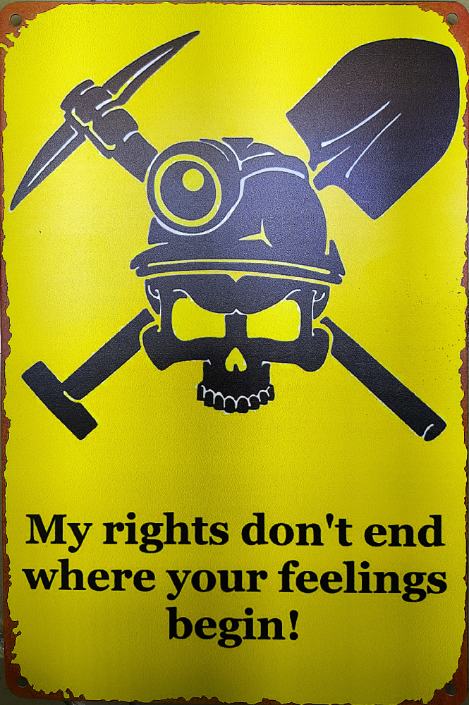 Statement - Blechschild 30,0 cm x 19,5 cm